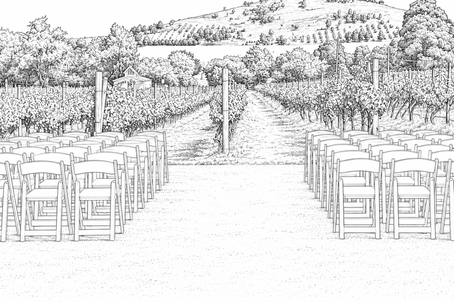 Illustration of the Fergusson Winery vines